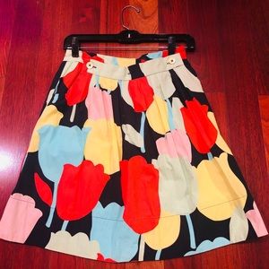 Anthropologie Skirt (size 0)